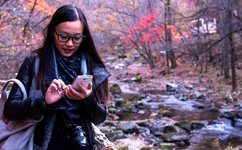 日出水了啊快点使劲动态图